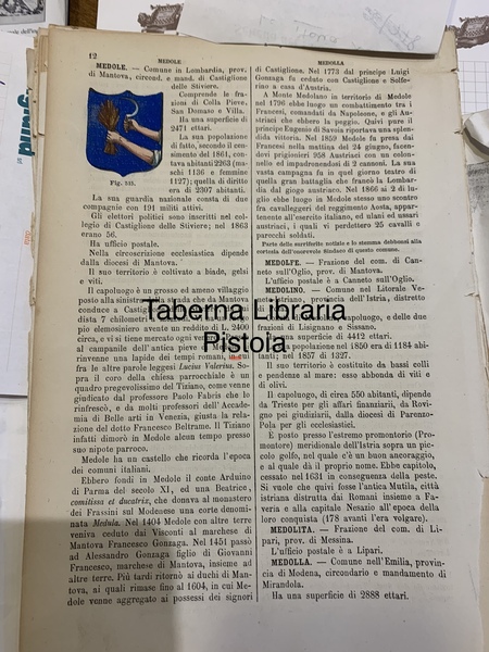 Medole - Arma del Comune acquerellata a mano tratta da …