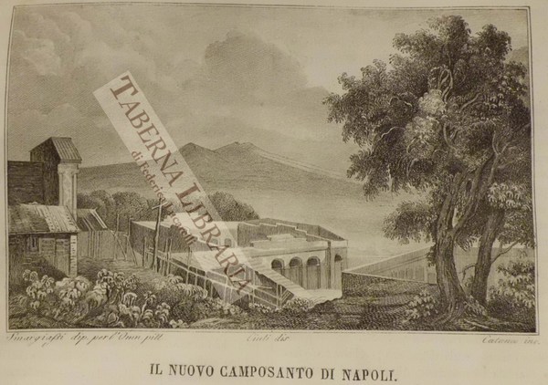 Il nuovo Camposanto di Napoli