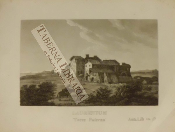 Laurentum - Torre Paterno