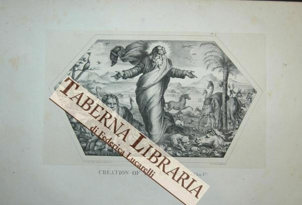 Lotto di 4 litografie della Genesi da opere di Raffaello: