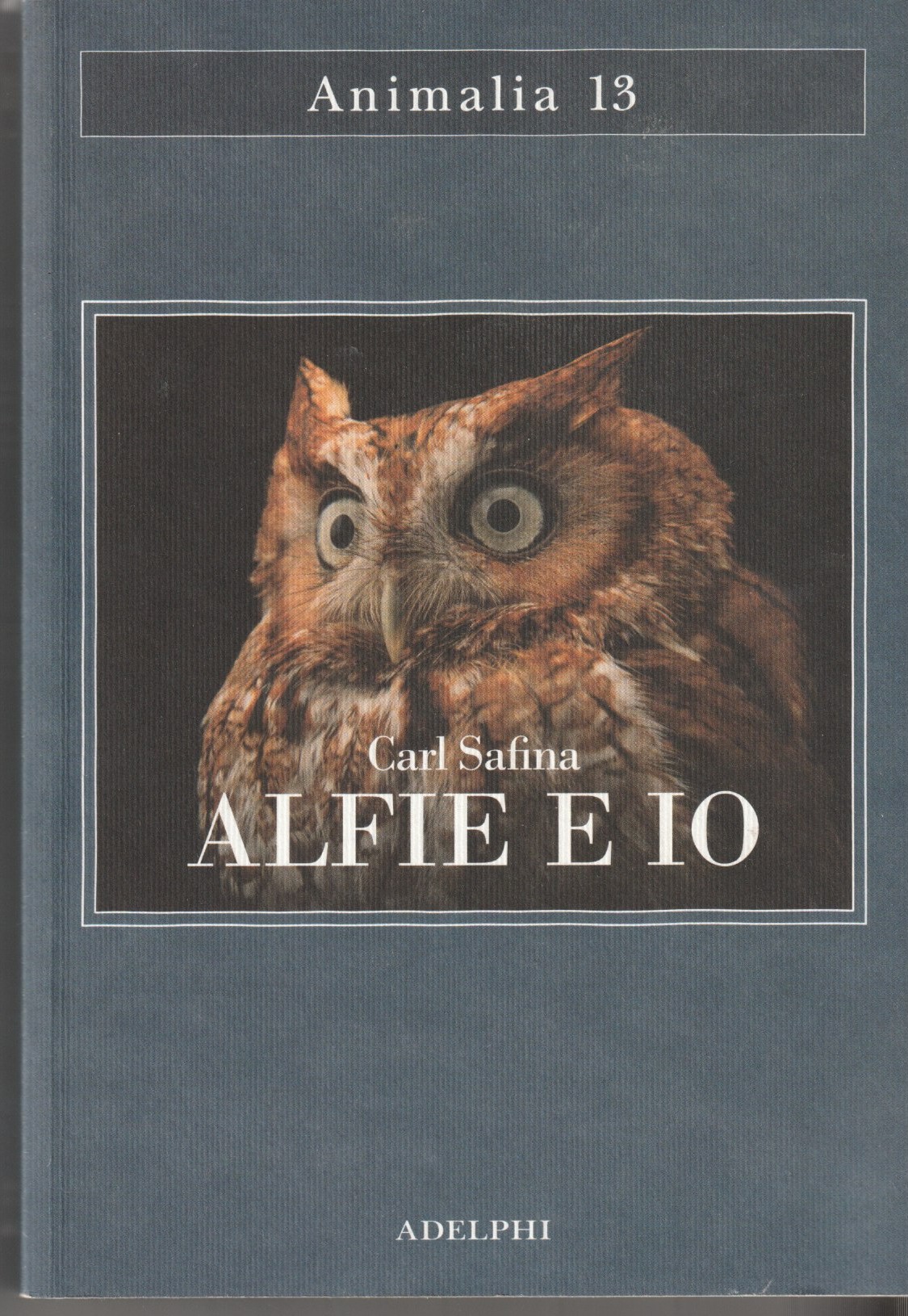 Alfie e io. Quello che i rapaci sanno, quello che …