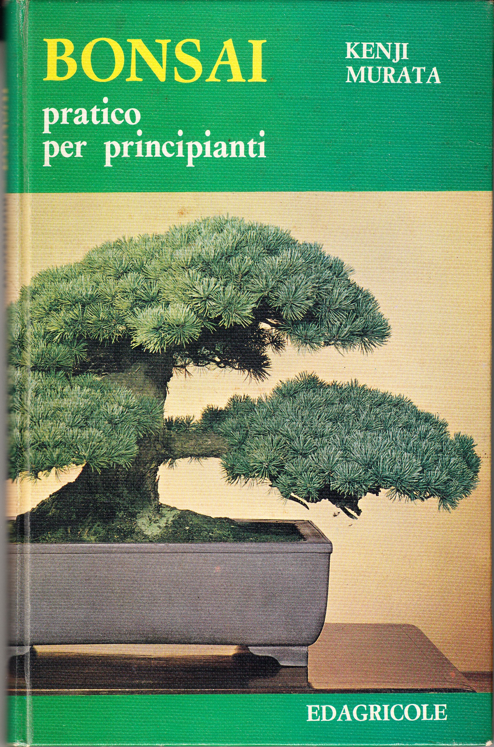 Bonsai pratico per principianti