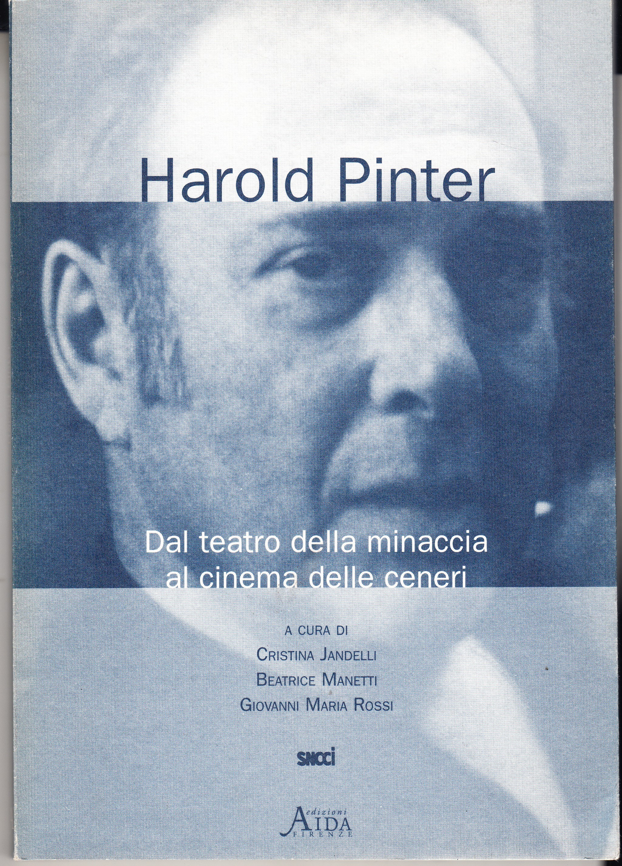Harold Pinter. Dal teatro della minaccia al cinema delle ceneri