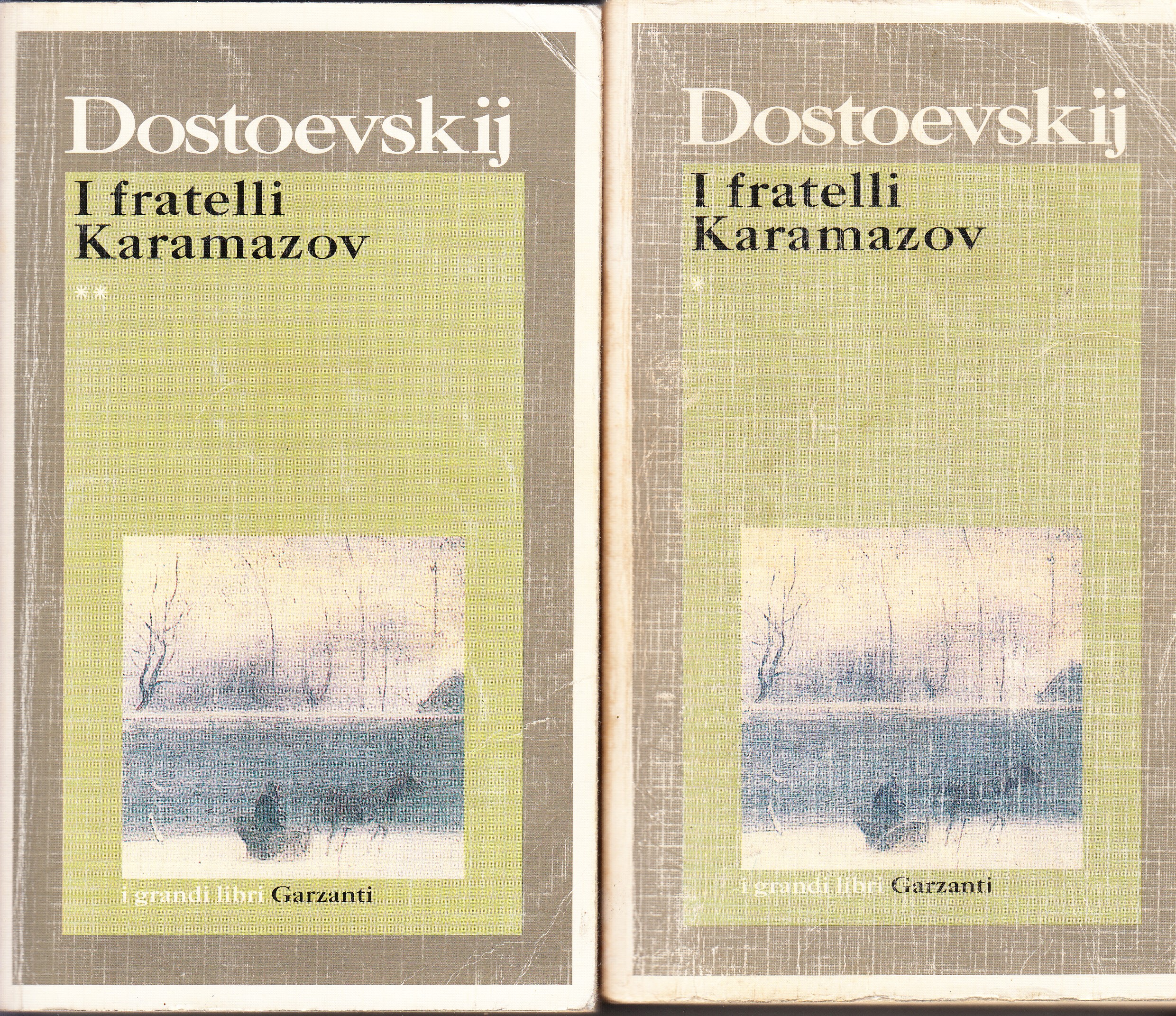 I Fratelli Karamazov 2 volumi