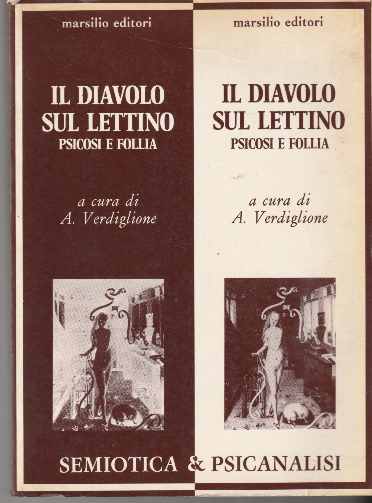 Il diavolo sul lettino. Psicosi e follia