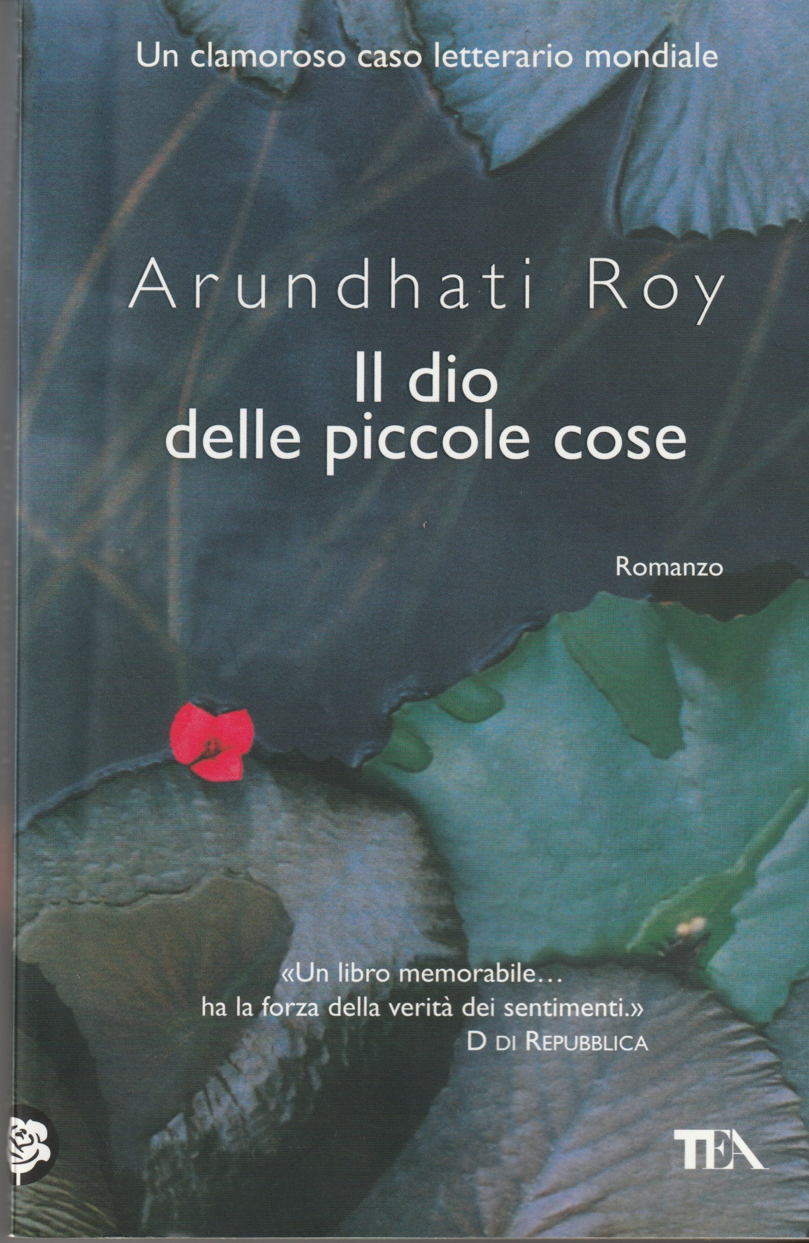 Il dio delle piccole cose