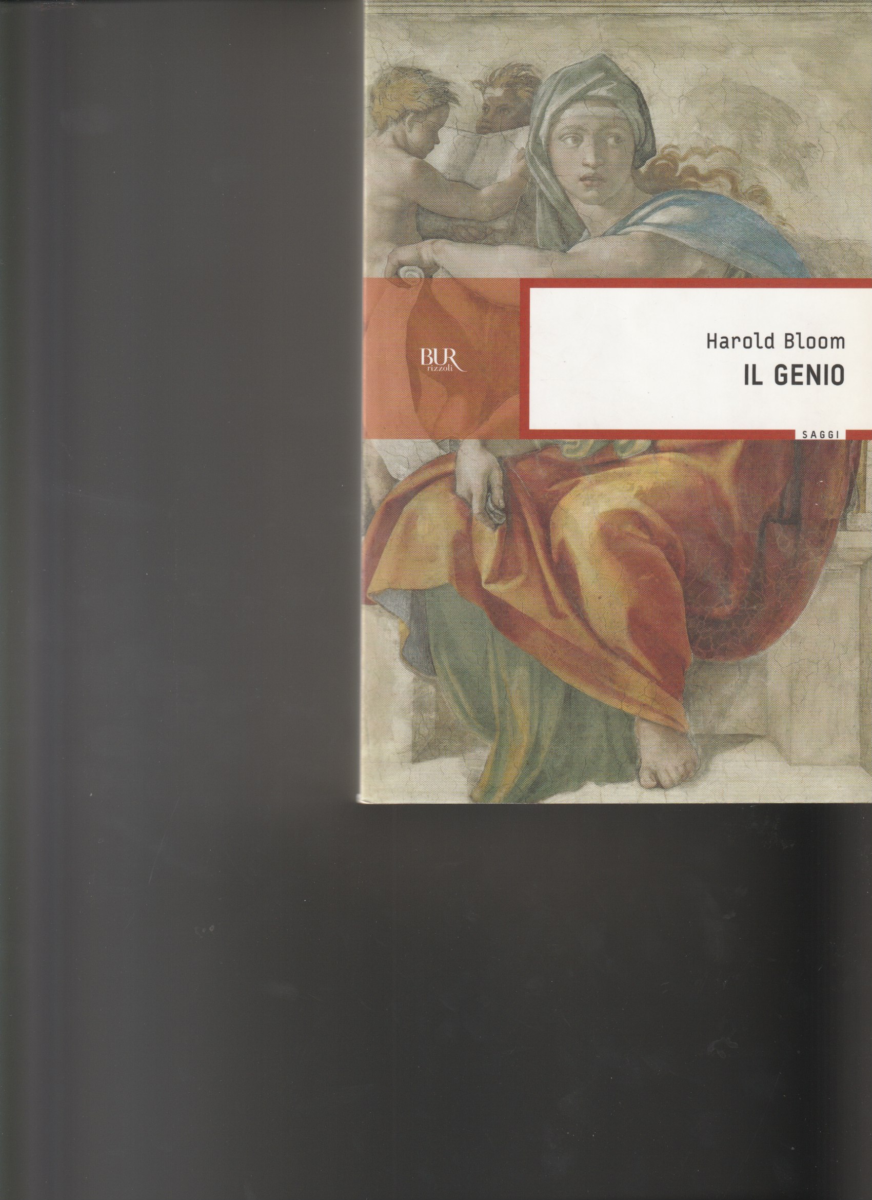 Il genio. Il senso dell'eccellenza attraverso le vite di cento …