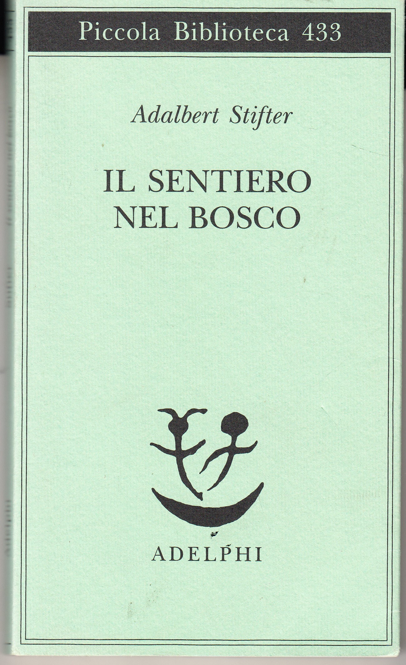 Il sentiero nel bosco