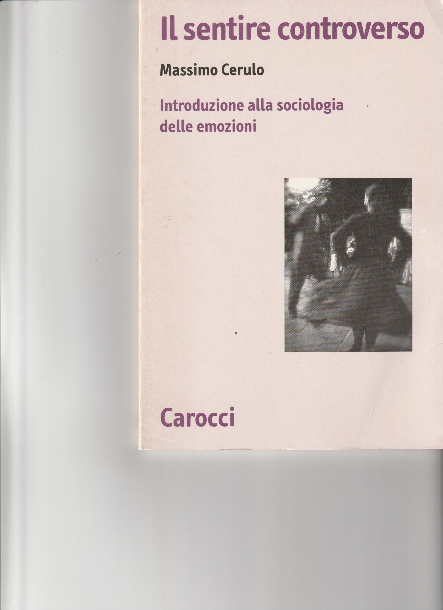 Il sentire controverso. Introduzione alla sociologia delle emozioni