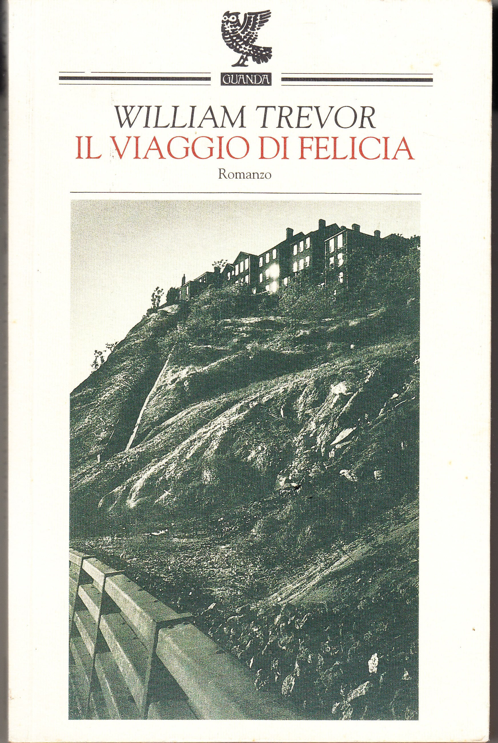 Il viaggio della felicitÖ. Romanzo