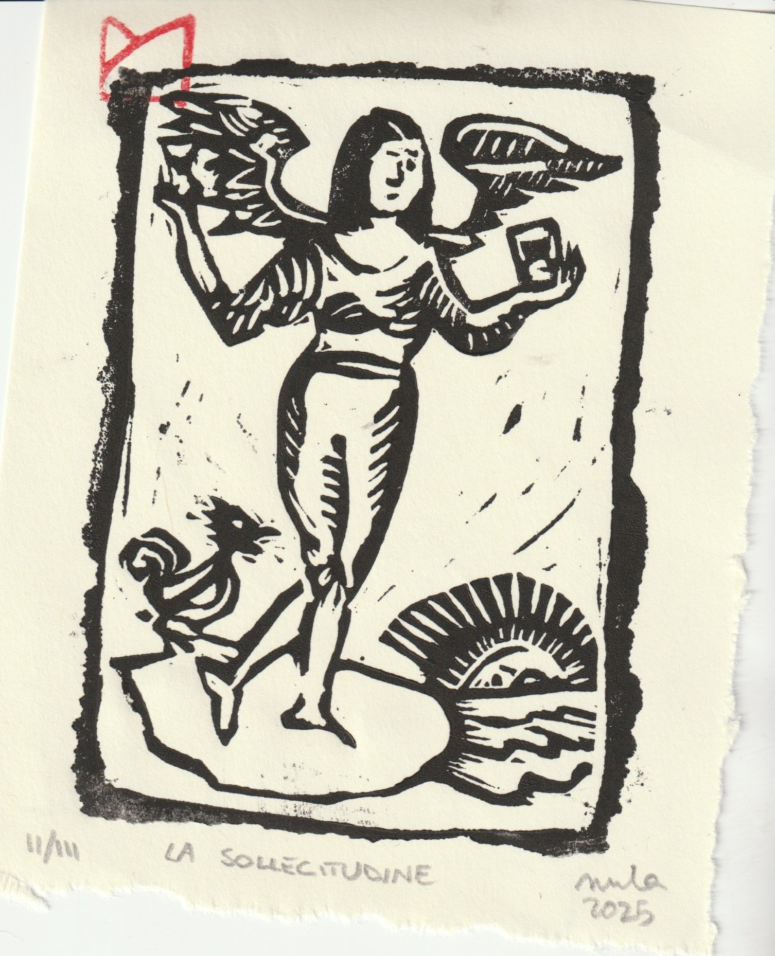 La sollecitudine... orba