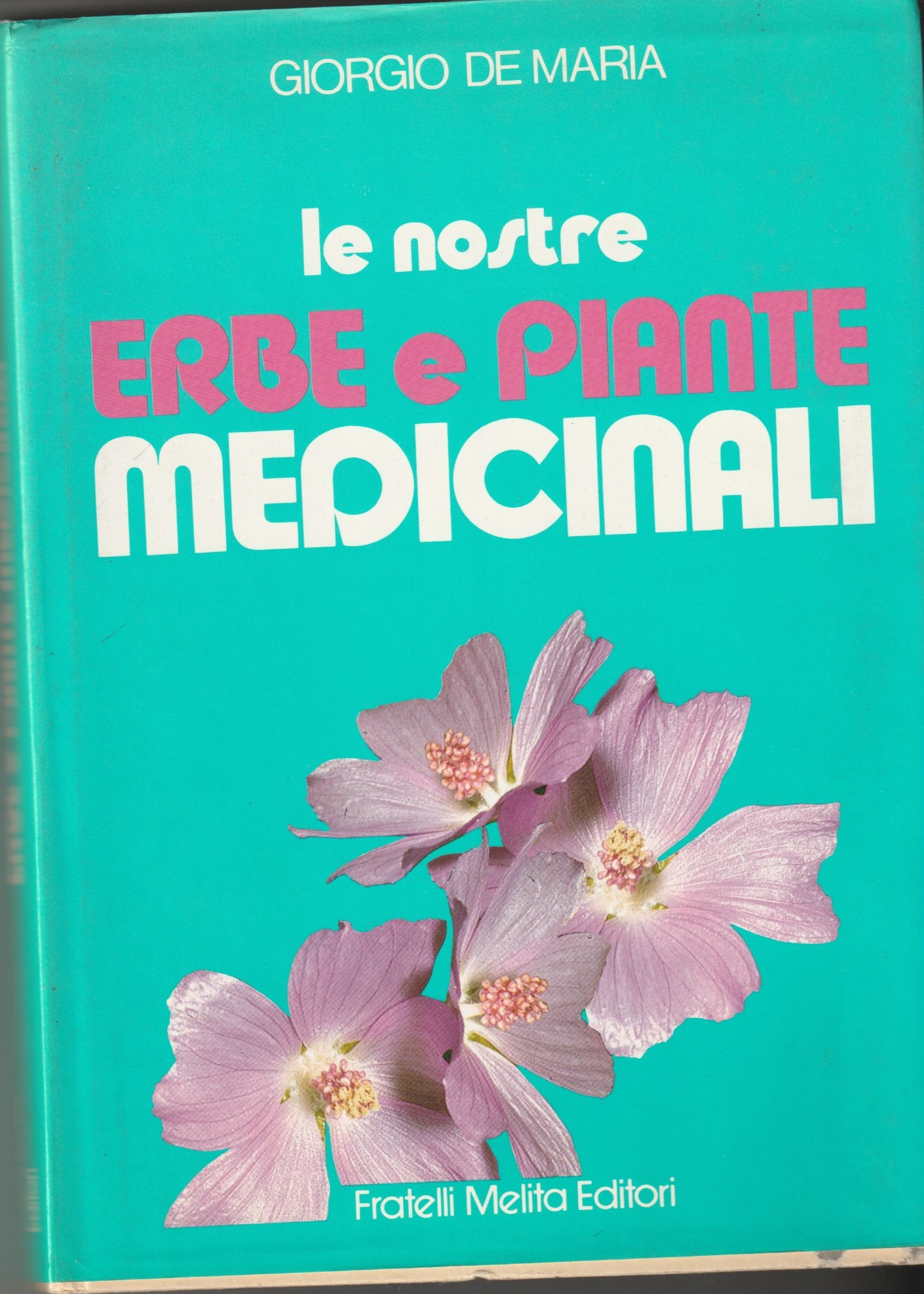 Le nostre erbe e piante medicinali