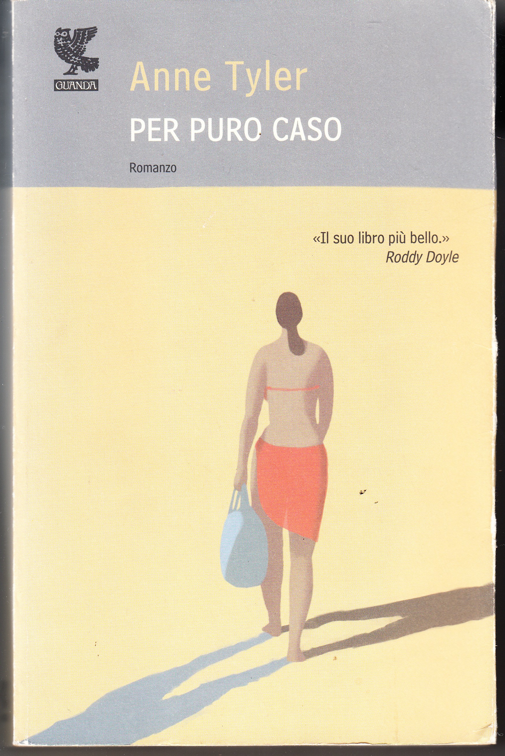 Per puro caso. Romanzo