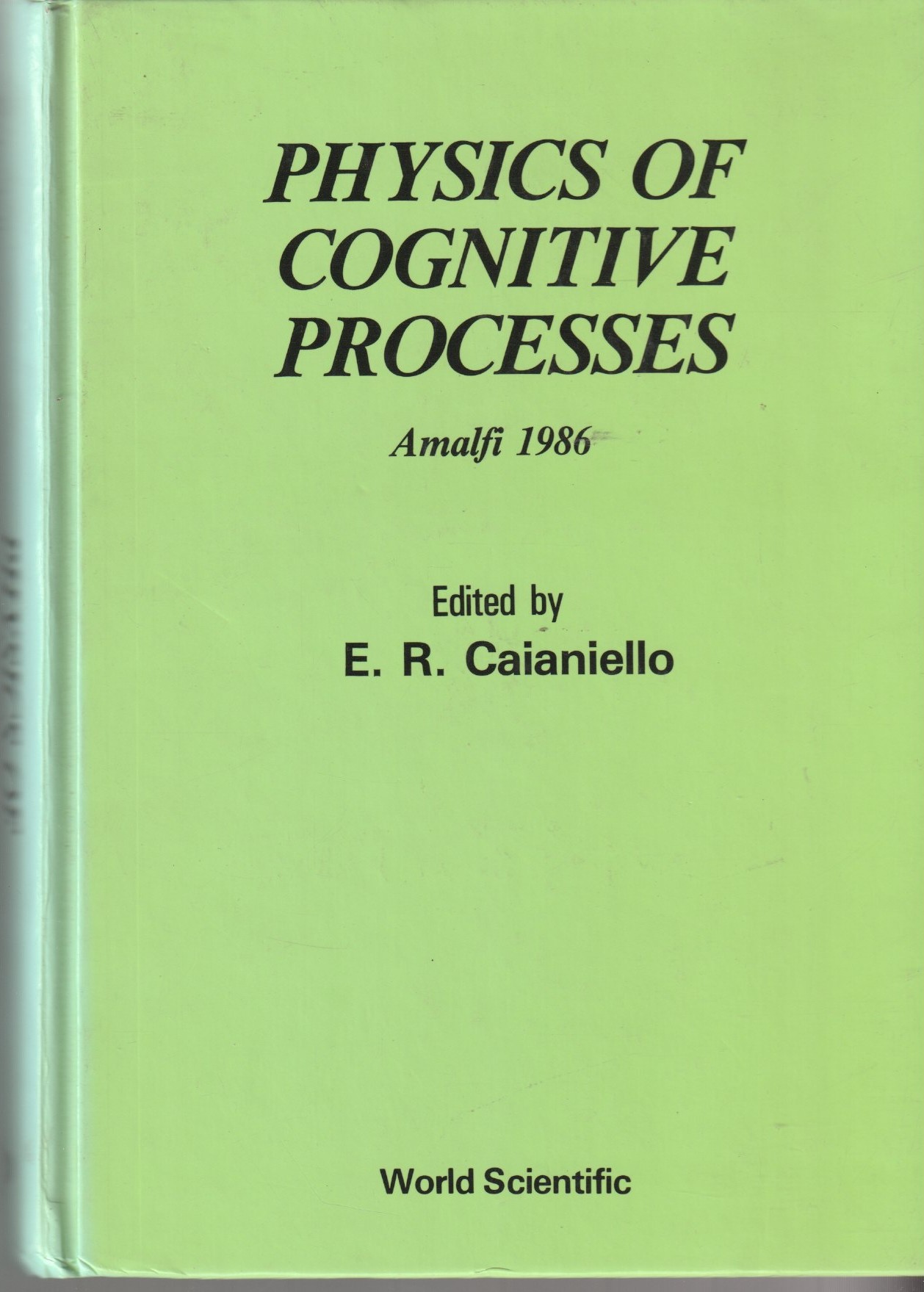 Physics of Cognitive Processes. Amalfi 1986