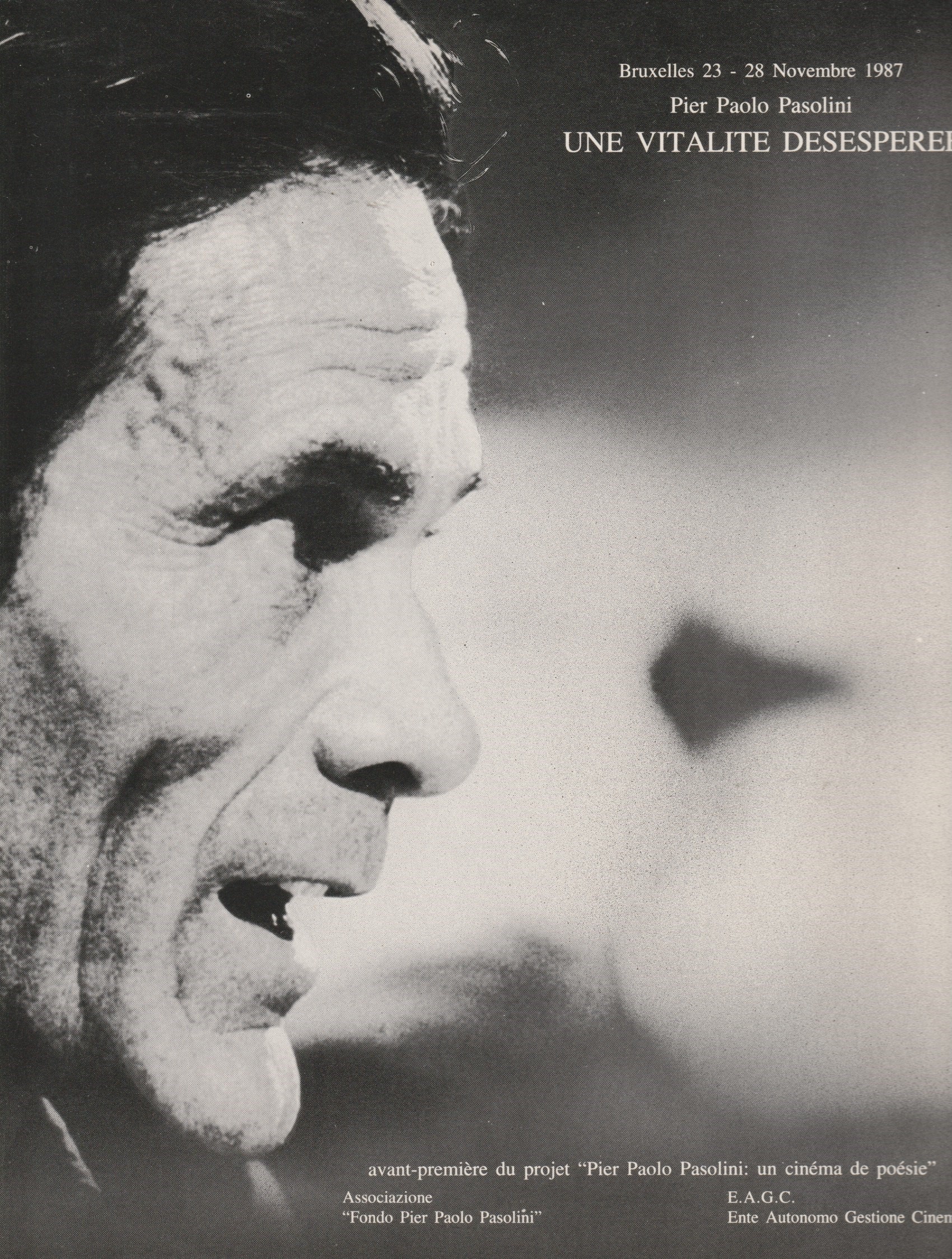 Pier Paolo Pasolini. Une vitalite desesperee
