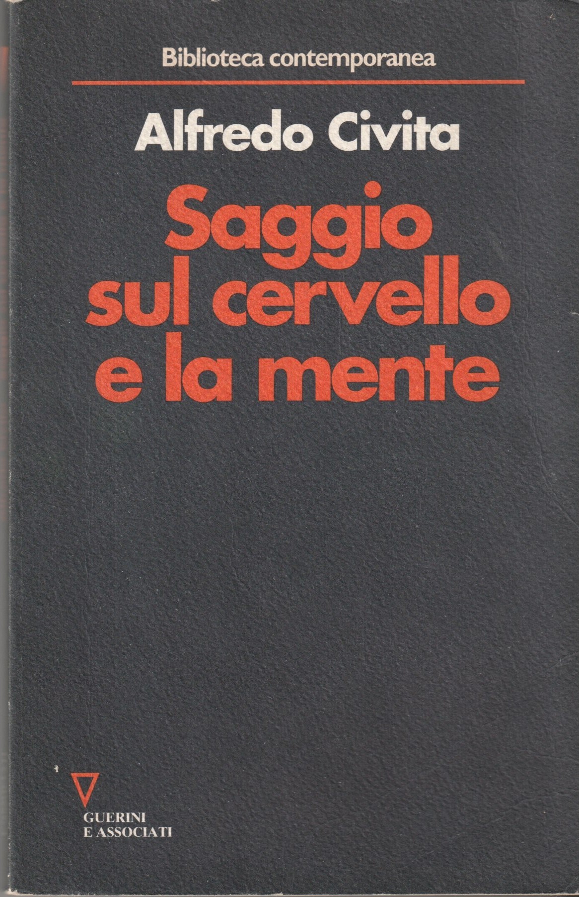 Saggio sul cervello e la mente