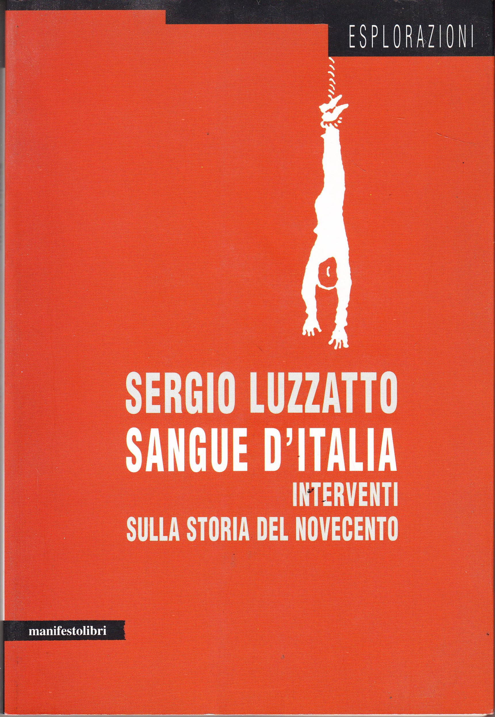 Sangue d'Italia. Interventi sulla storia del Novecento