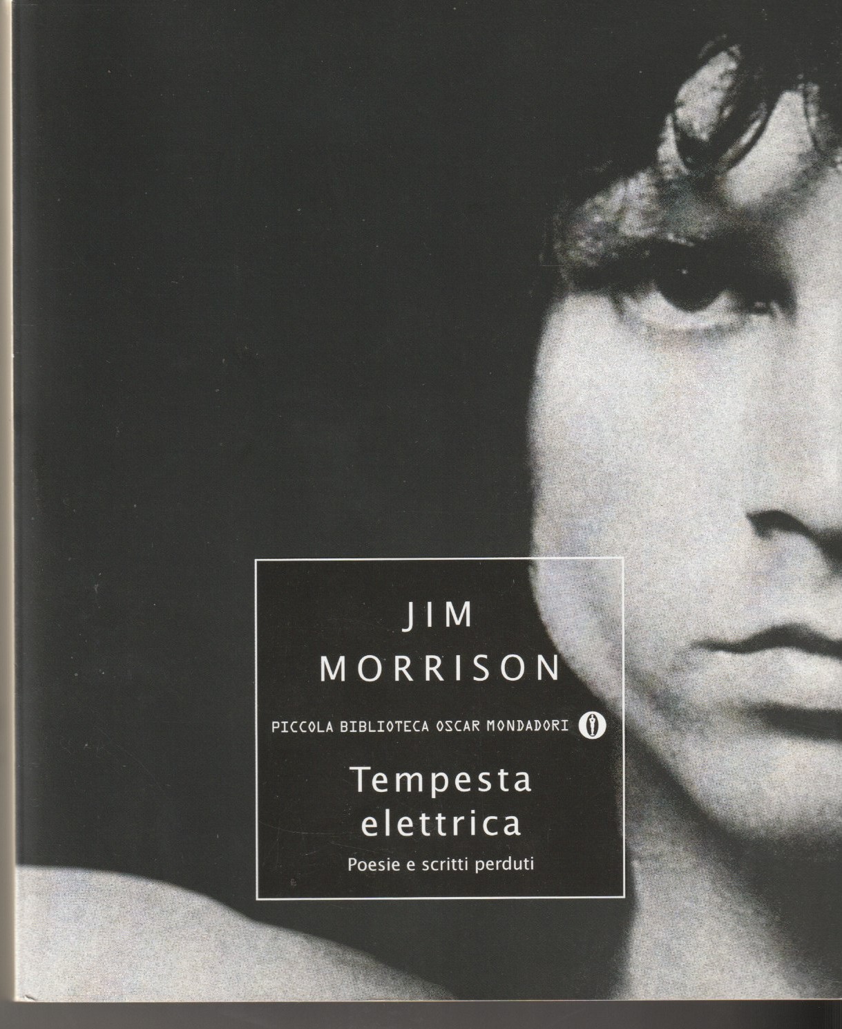 Tempesta elettrica. Poesie e scritti perduti