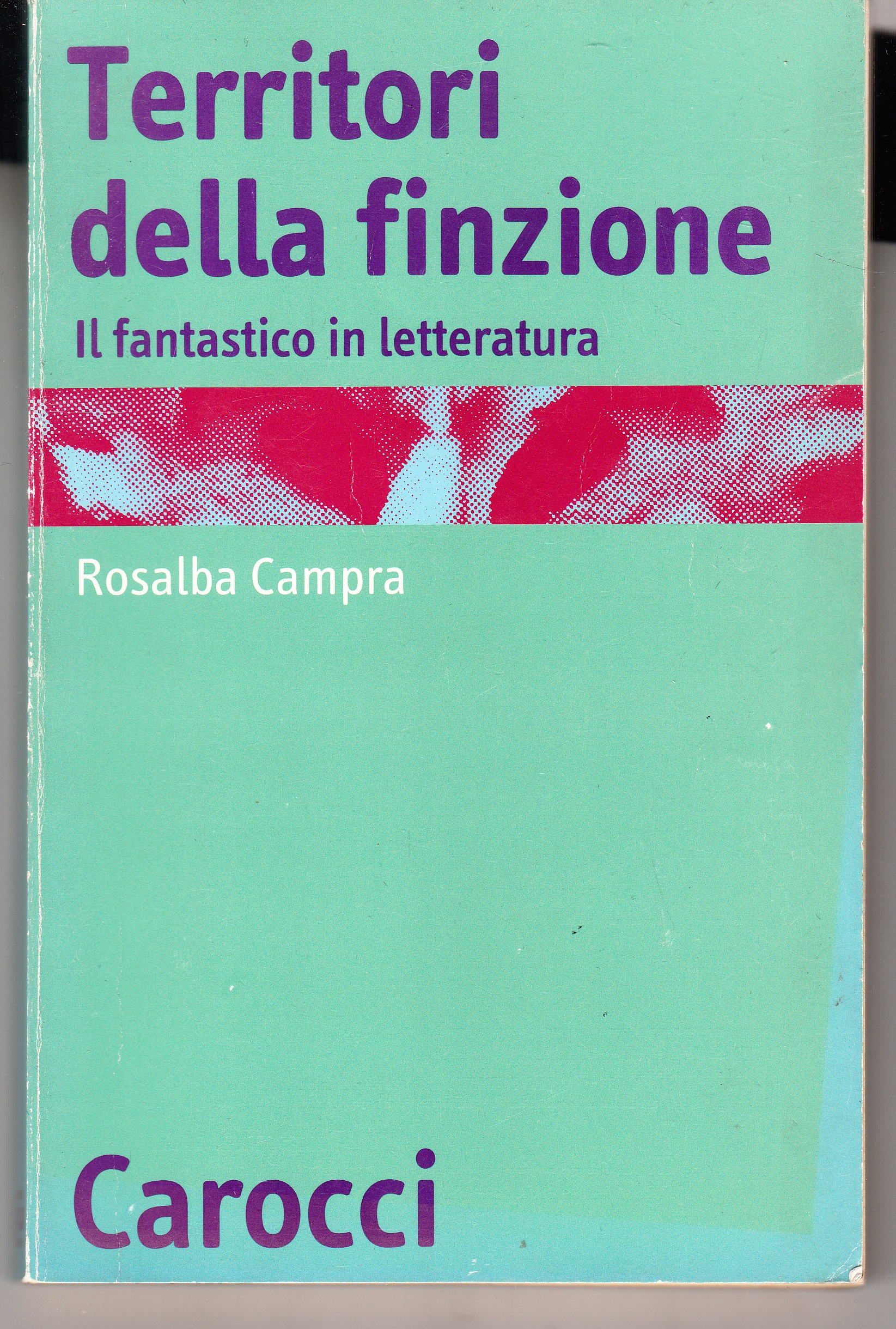 Territori della finzione. Il fantastico in letteratura