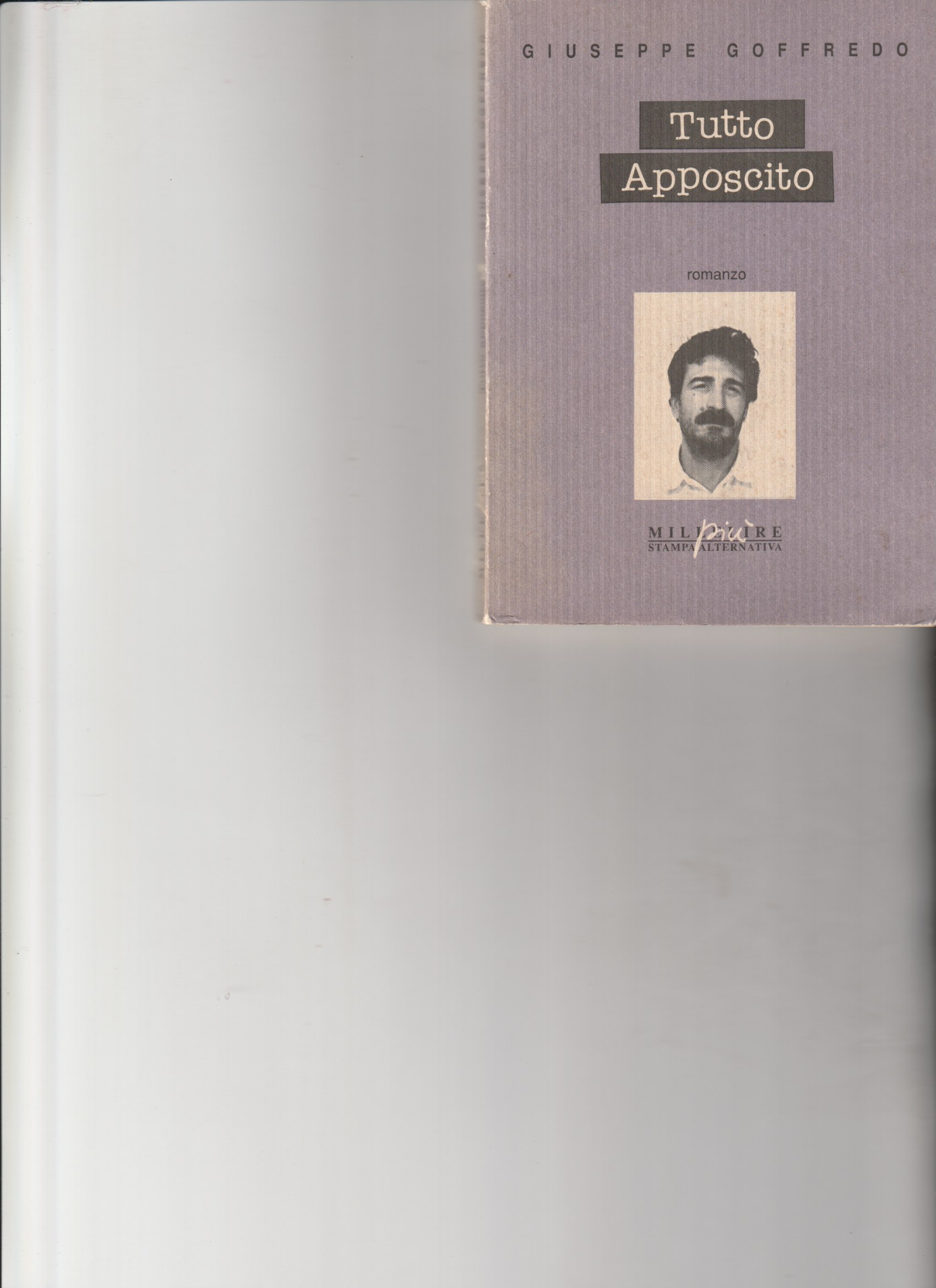 Tutto apposcito. Romanzo