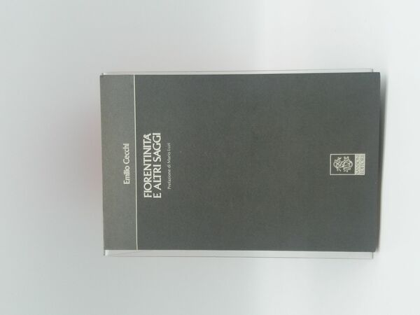 Una pagina sull'arte figurativa fiorentina