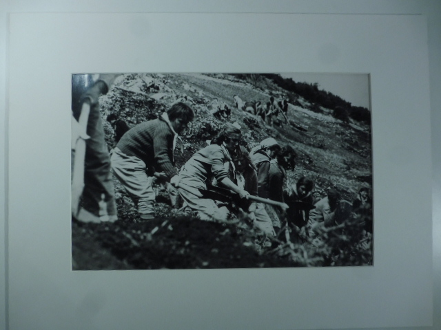Albania. Road from Elbassan to Korcia. Girl of the youth …