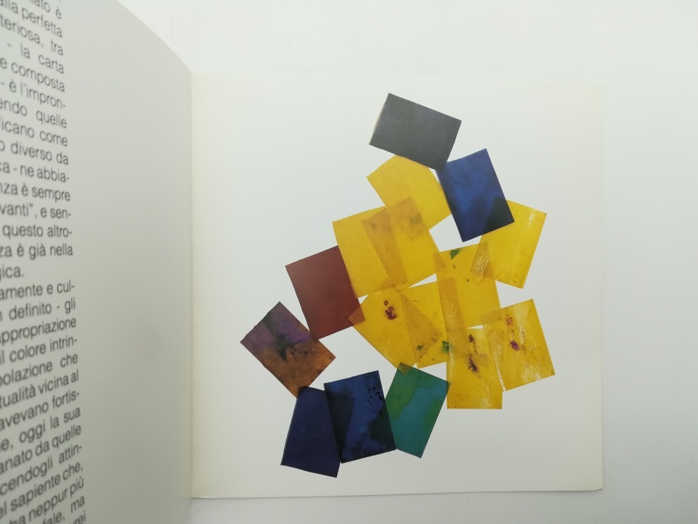 Anna Moro-Lin. Carlo Patrone. Plurima, Udine (Catalogo della mostra)