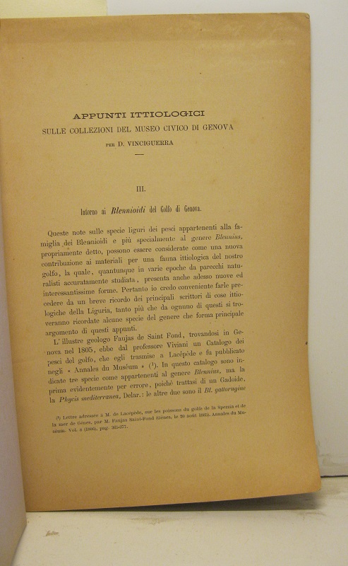 Appunti ittiologici sulle collezioni del Museo Civico di Genova. III. …