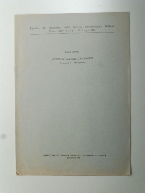 Apterogynia del Cameroun, Himenoptera, Apterogynidae