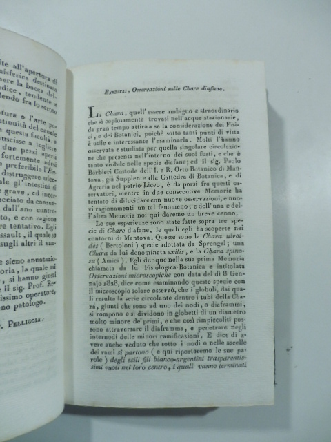 Barbieri, osservazioni sulle Chare diafane. (Stralcio da: Nuovo giornale de' …