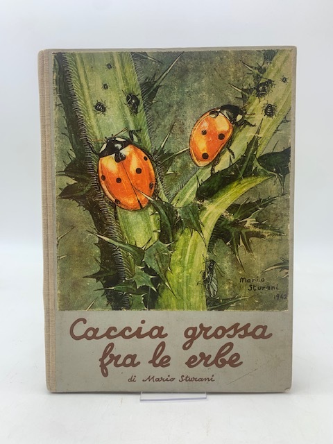 Caccia grossa fra le erbe.