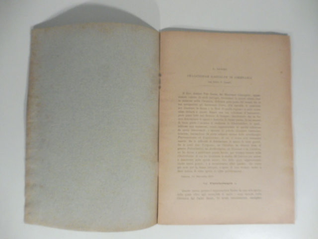 Chalcididae raccolte in Cirenaica dal dott. V. Zanon