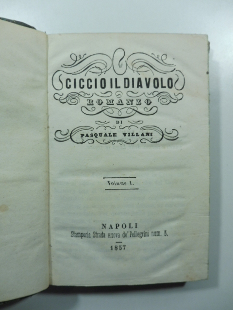 Ciccio il diavolo. Romanzo
