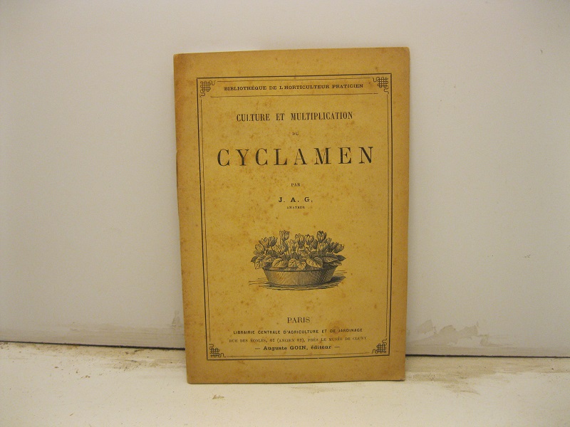 Culture et multiplication de cyclamen