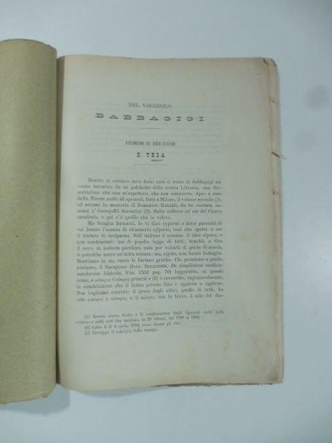 Del vocabolo babbagigi. Osservazioni