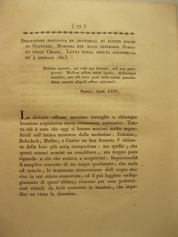 Descrizione zoologica ed anatomica di alcune specie di oloturie. Memoria.