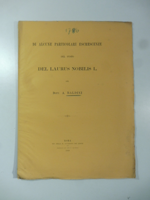 Di alcune particolari escrescenze del fusto del laurus nobilis l.