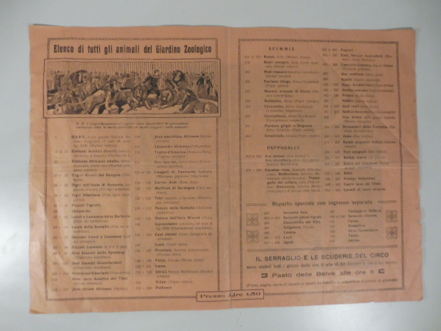 Elenco di tutti gli animali del giardino zoologico. Il serraglio …