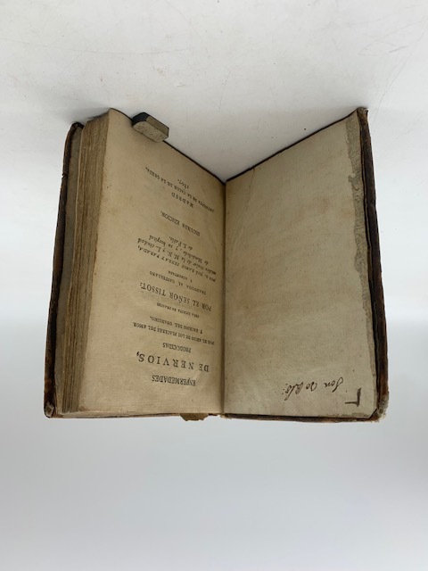 Enfermedades de nervios producidas por el abuso de los placeres …