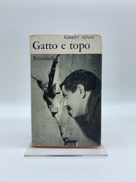 Gatto e topo