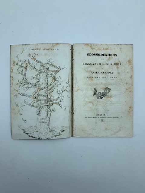 Glossodendron seu linguarum genealogia a Laelio Carfora breviter enucleata
