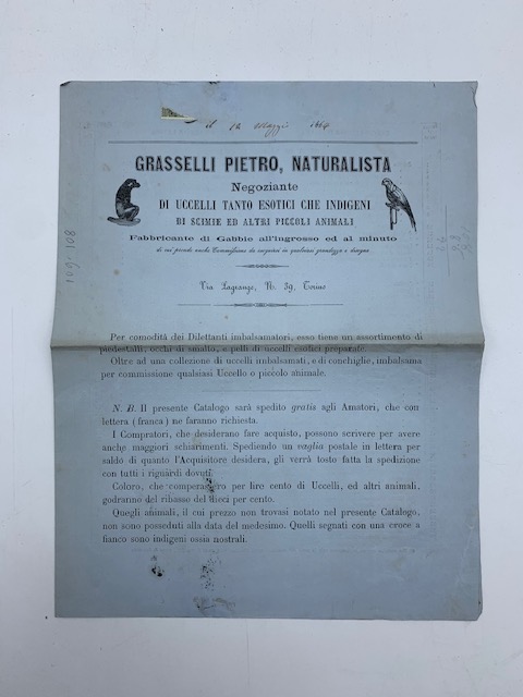 Grasselli Pietro, naturalista. Negoziante di uccelli tanto esotici che indigeni …