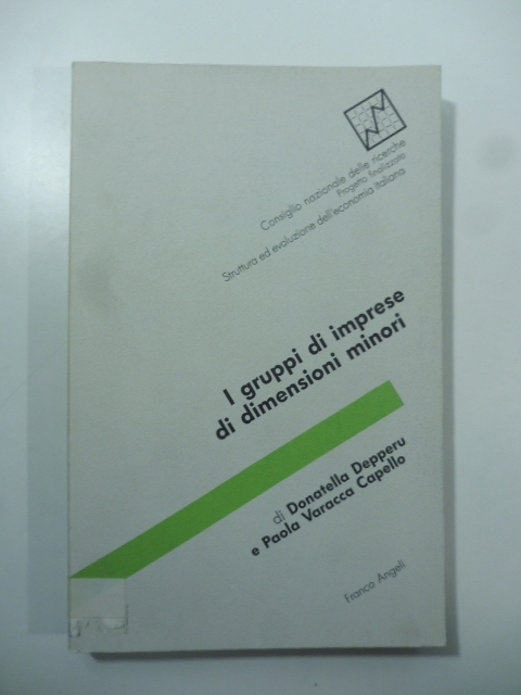 I gruppi di imprese di dimensioni minori. Specificita' dei ruoli …