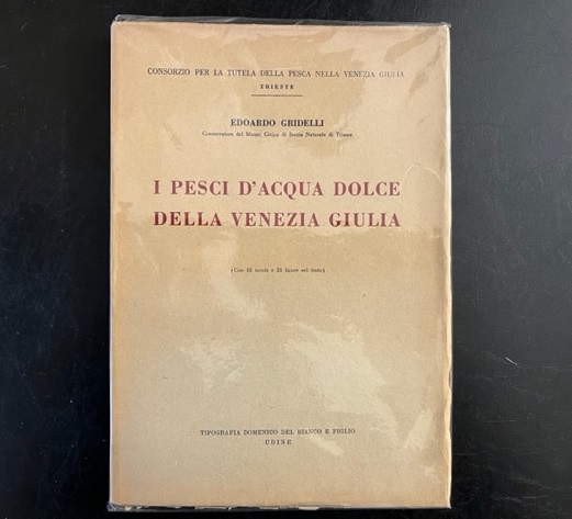 I pesci d'acqua dolce della Venezia Giulia