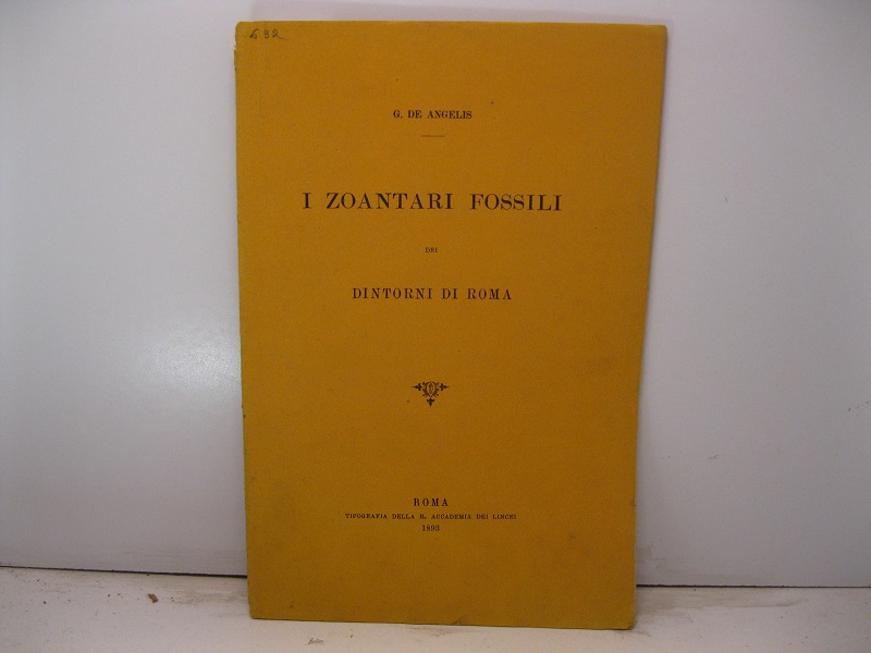 I zoantari fossili nei dintorni di Roma