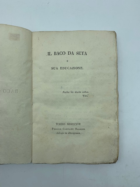 Il baco da seta e sua educazione