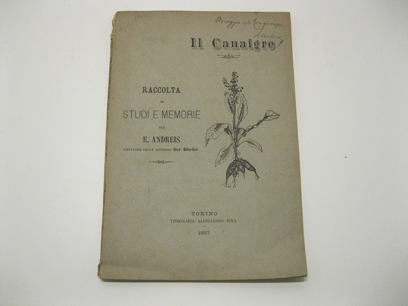 Il canaigre. Raccolta di studi e memorie per E. Andreis …