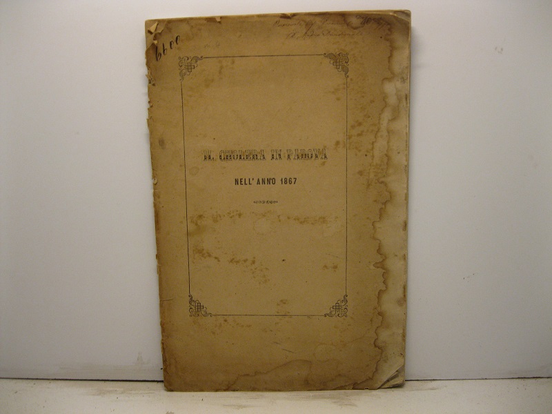 Il cholera in Padova nell'anno 1867. Relazione letta all'Accademia di …