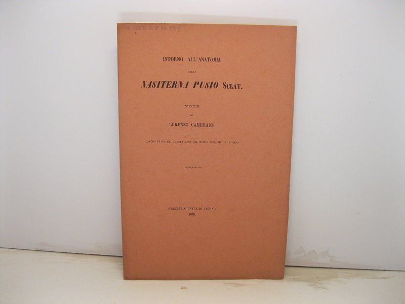 Intorno all'anatomia della nasiterna pusio sclater. Lavoro fatto nel laboratorio …
