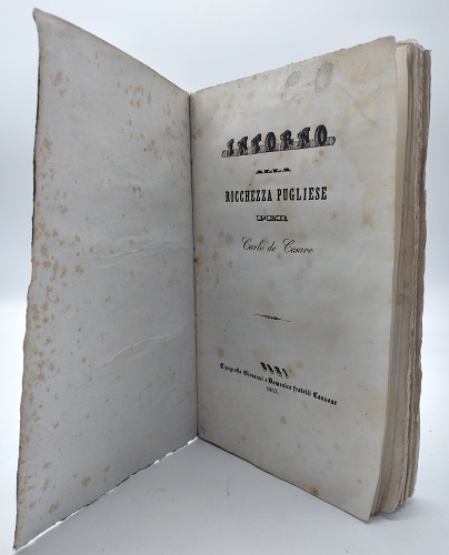 Intorno alla ricchezza pugliese